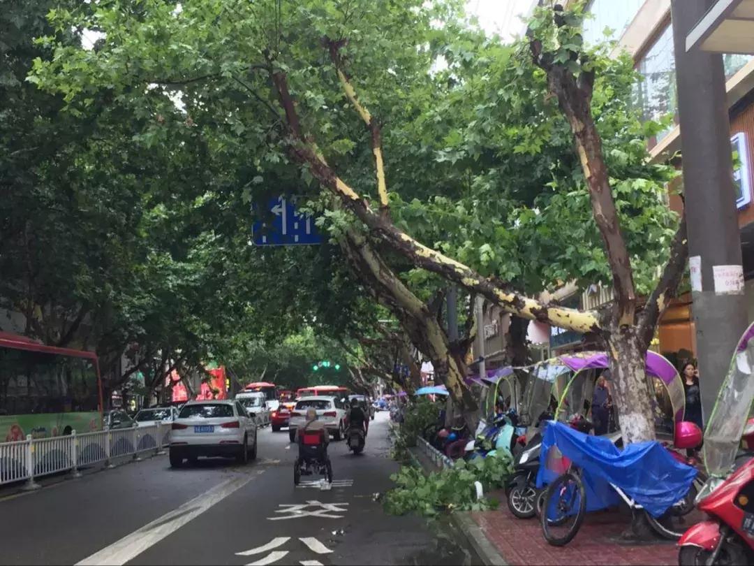 资阳家乐福最新招聘，职业发展的理想选择