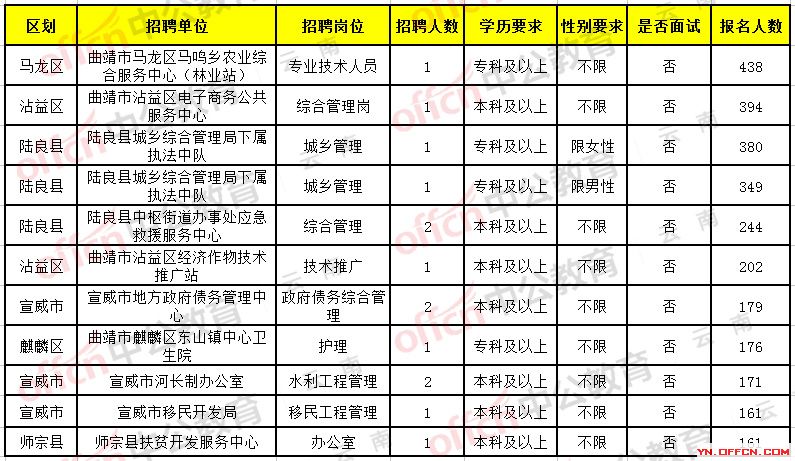 腾冲最新招聘动态及其社会影响概述