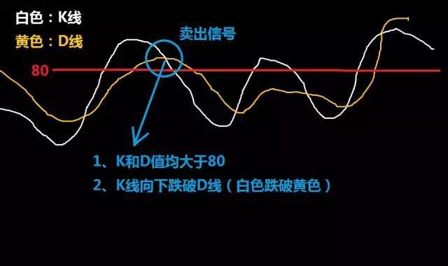 四肖期期准四肖期准开｜实用技巧与详细解析