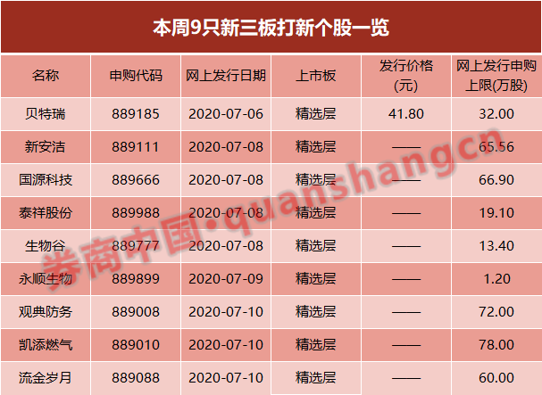 2024新澳最精准免费资料,决策资料解释落实_Lite38.81