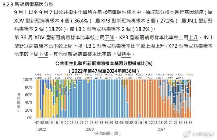 新澳门最新开奖记录查询第28期,数据决策分析驱动_pack33.406