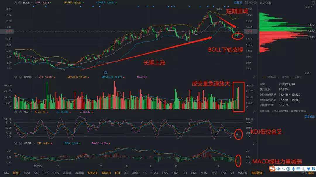 太阳纸业股票最新分析概览