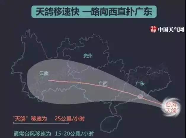 天鸽风台最新动态全面解析