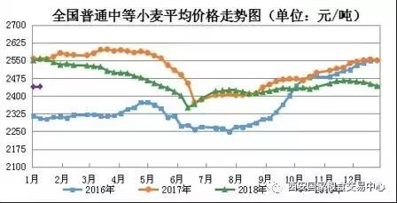 小麦行情最新走势分析，价格动态与市场趋势研究