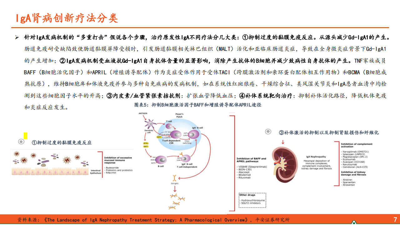 2025年2月10日 第22页