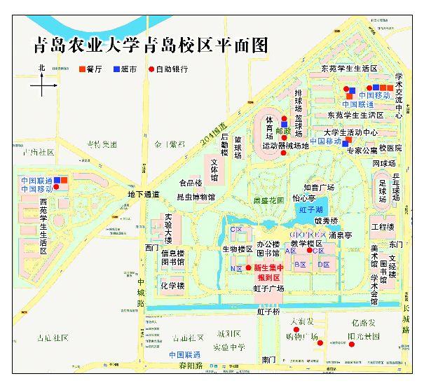 最新青岛地图，探索美丽城市的全新风采