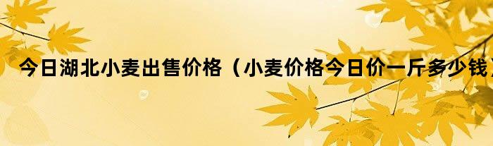 湖北小麦价格最新行情解析