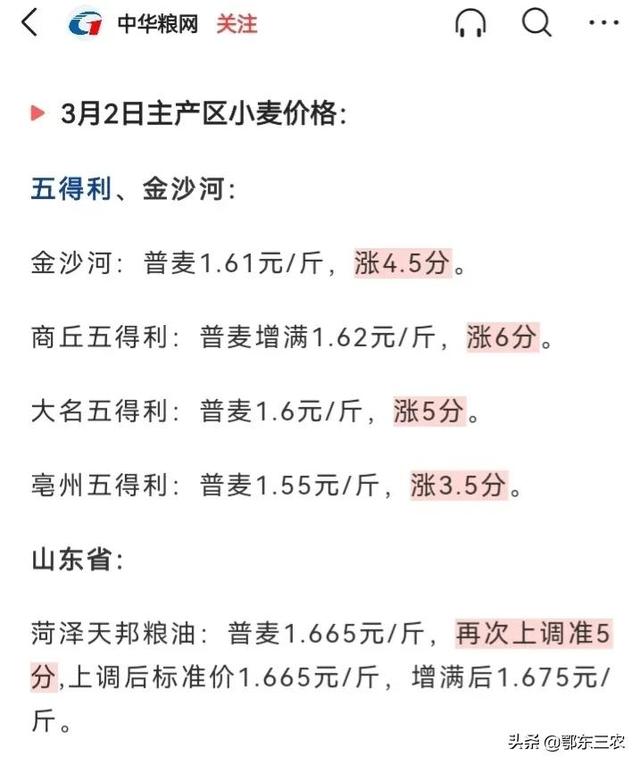 石家庄小麦最新价格动态解析