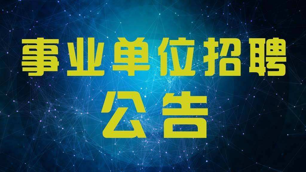 南陵招聘网最新招聘动态深度解读与分析